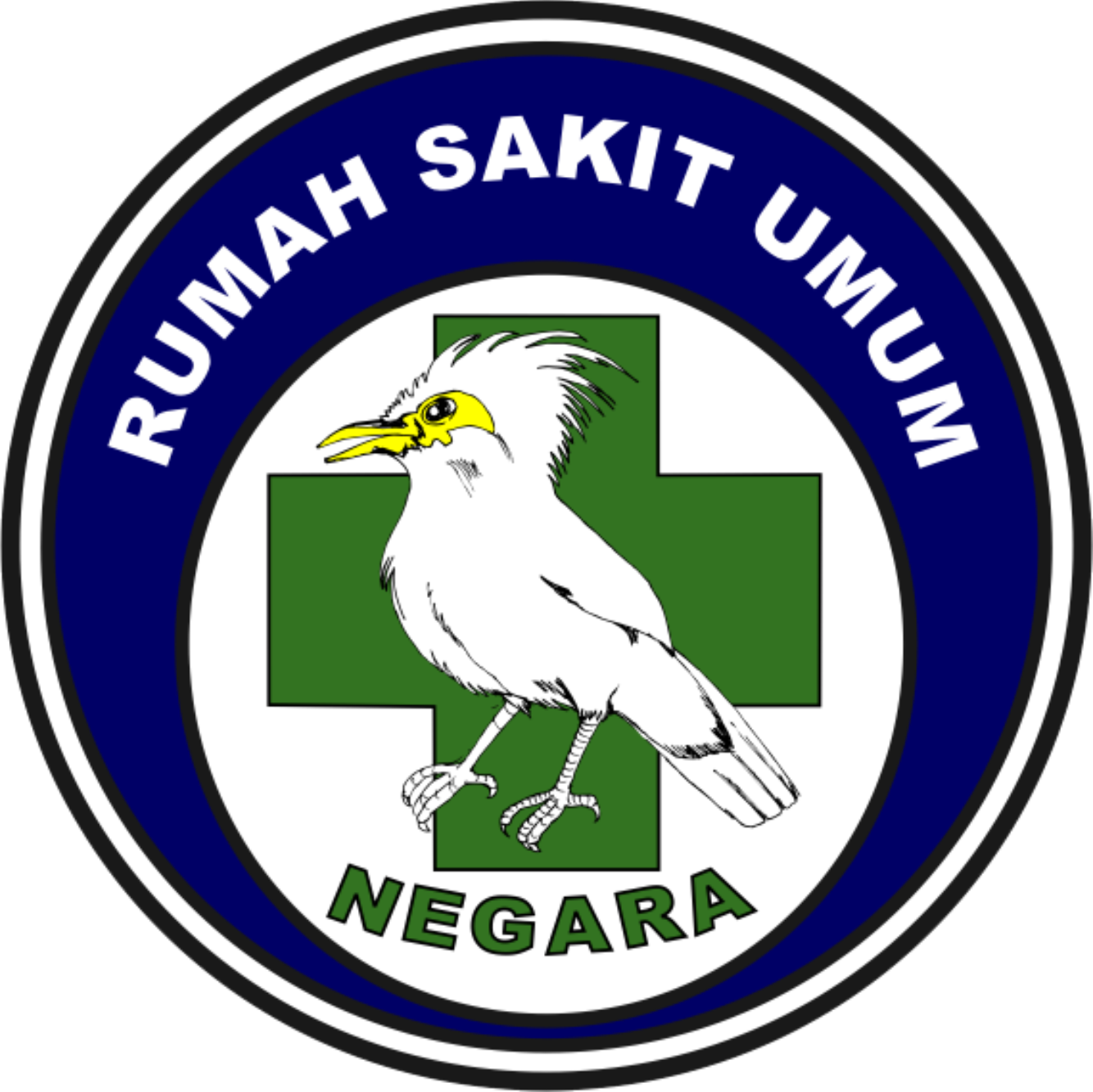 RSUD Negara