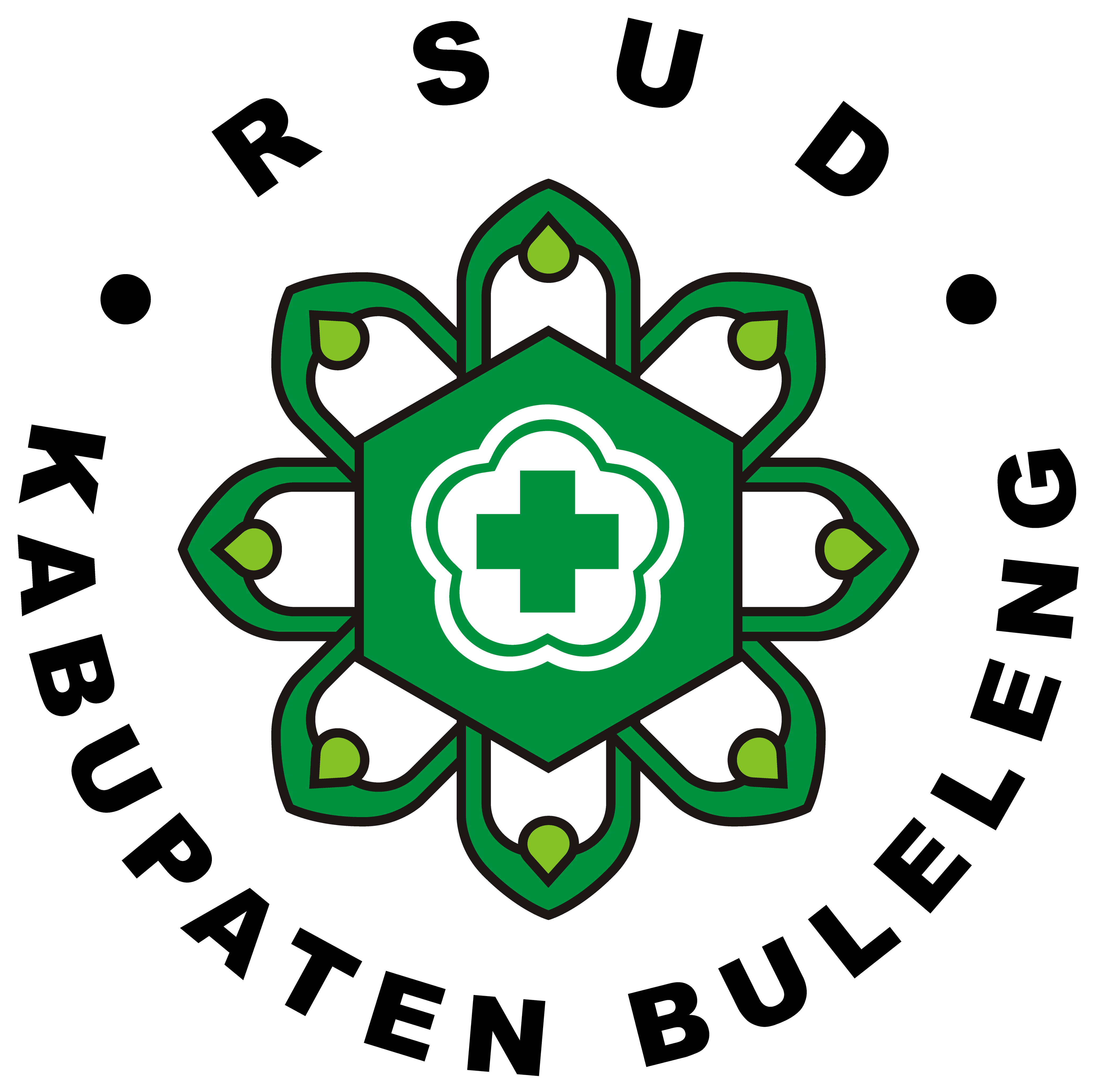 RSUD Kab. Buleleng